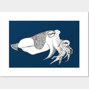 Fancy Little Cuttlefish Posters and Art